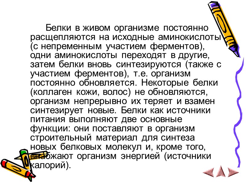 Белки в живом организме постоянно расщепляются на исходные аминокислоты (с непременным участием ферментов), одни